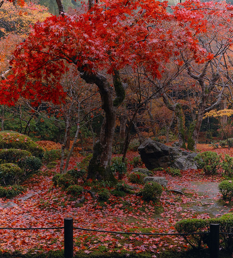 National Geographic Visit Japan