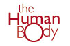 The Human Body