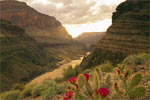 Photo: Grand Canyon