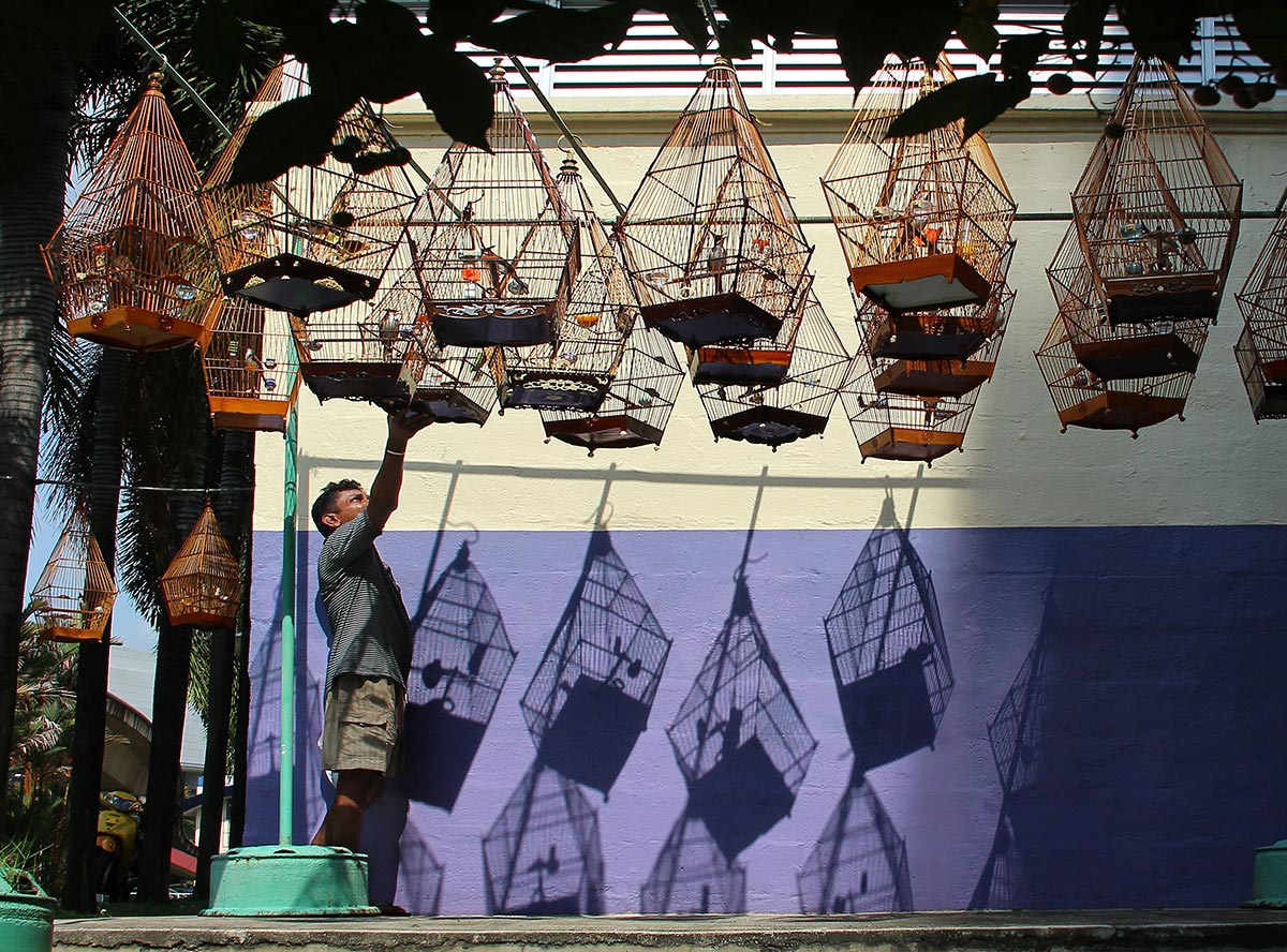 Grand Prize Winner Photo