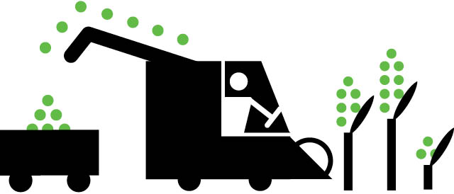 Illustration of a farmer harvesting a corn field