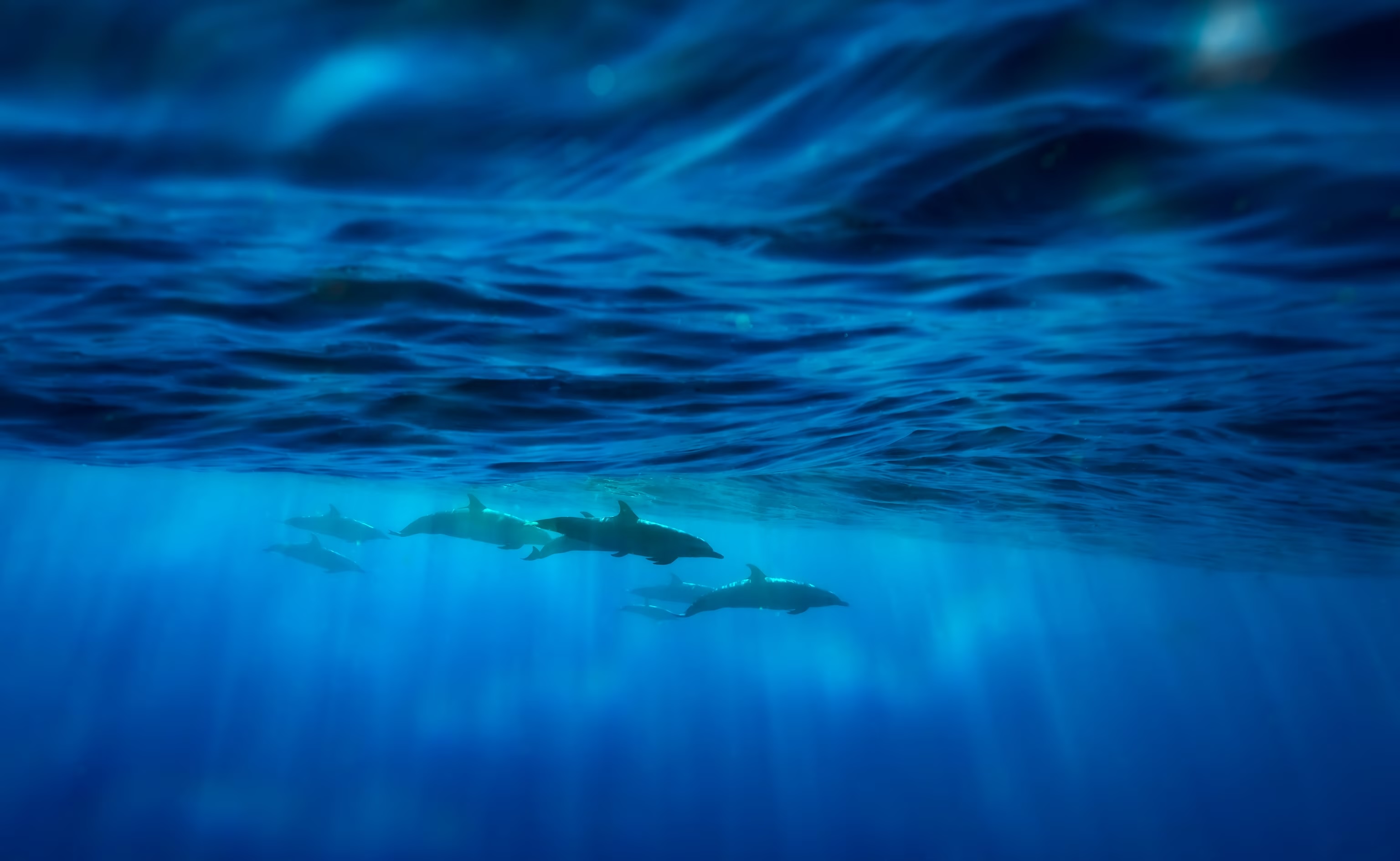 Prada: SEA BEYOND: Blue Future