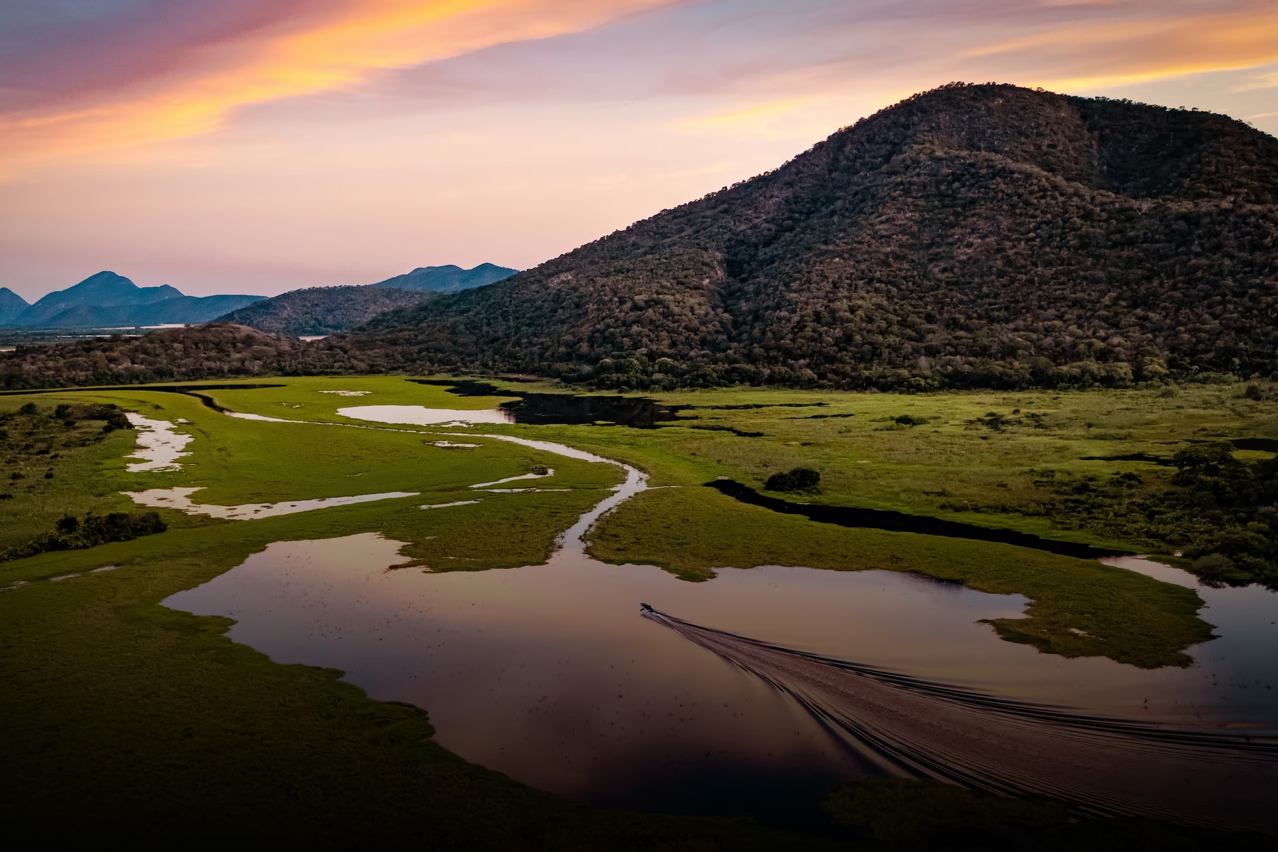 Brazil: Safari for the Senses