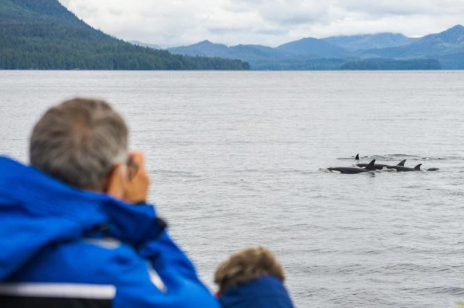 NATIONAL GEOGRAPHIC TRAVEL PROMO CODE visual data 6