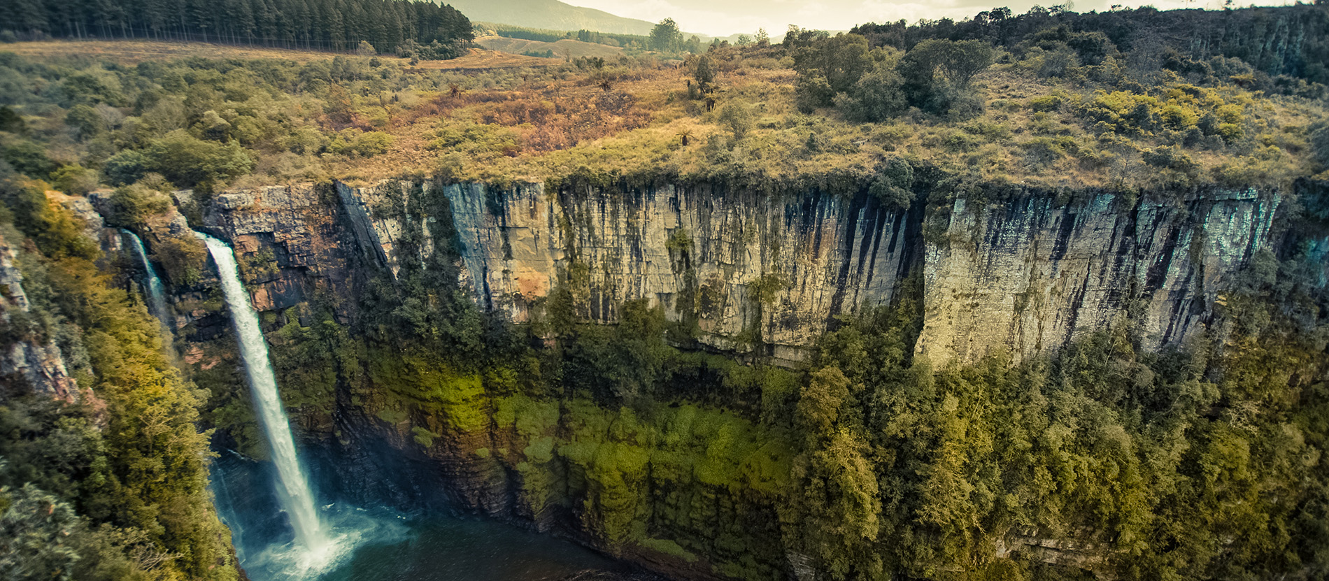 Southern Africa: Living History and Legendary Species | National