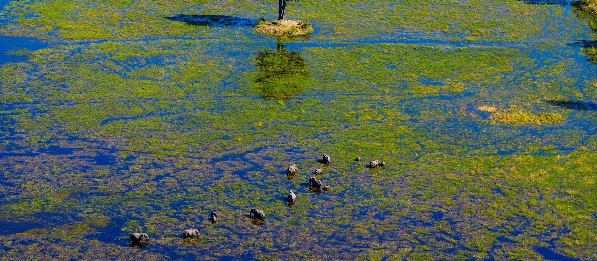 See What's New | National Geographic Expeditions