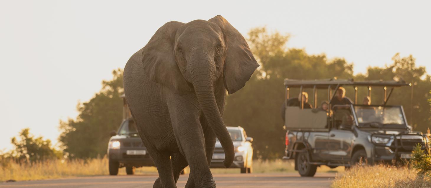 South Africa: Living Cultures, History & Safari | National Geographic ...