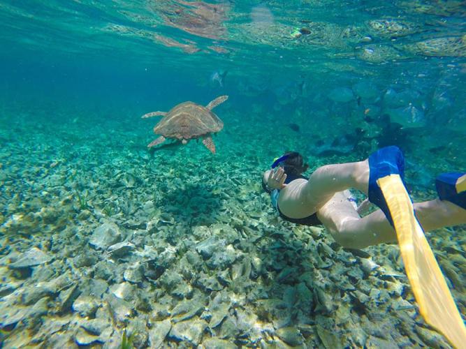 Belize Cruise Barrier Reef Snorkeling Tour National Geographic