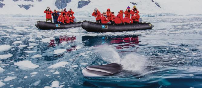 antarctica-expedition-cruises-national-geographic-expeditions