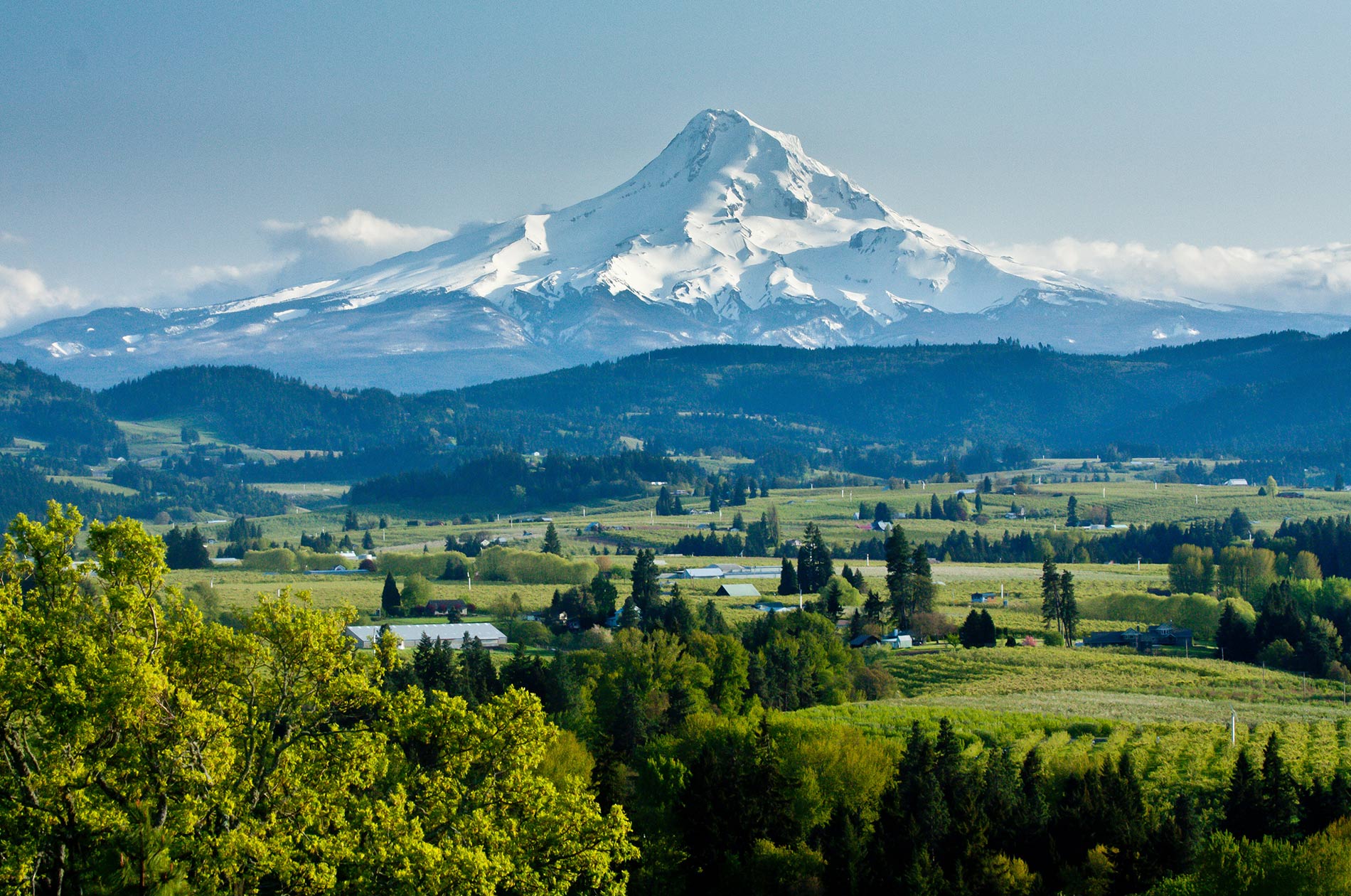 A verdant valley stretches out with a backdrop of snowcapped Mt Hood in Oregon