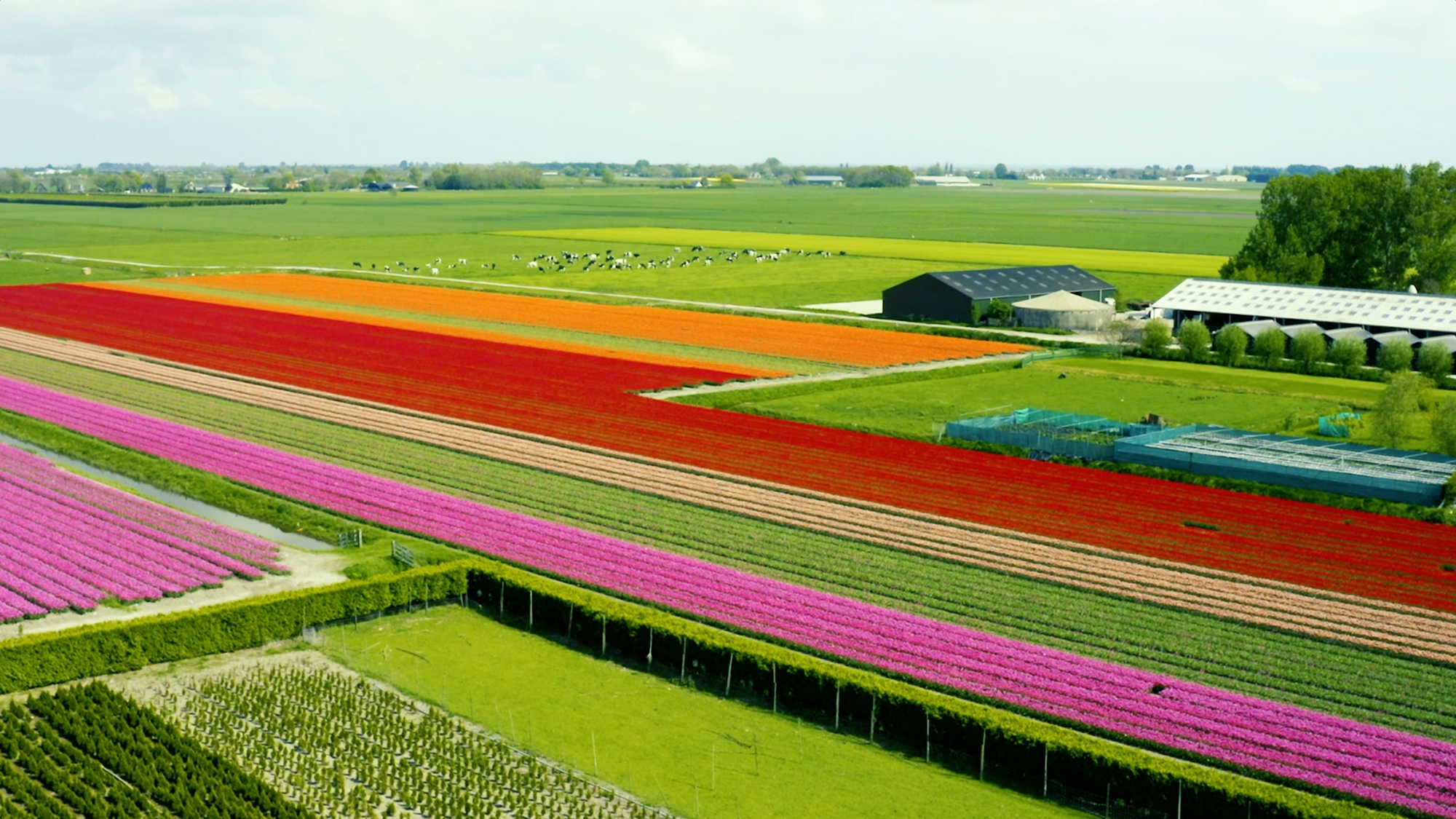 A Farm Tour in Holland National Geographic Expeditions