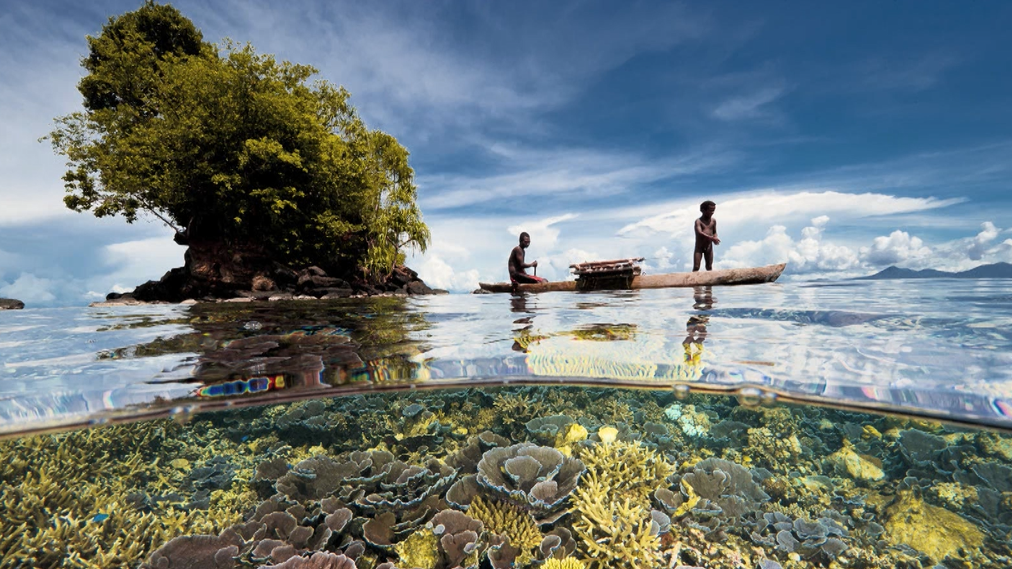 World Oceans Day | National Geographic Expeditions