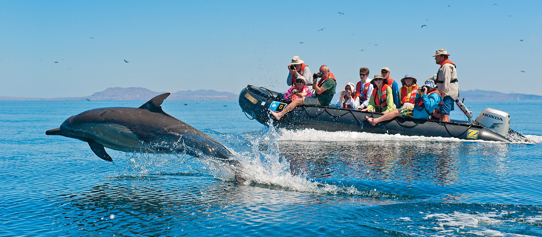 Baja California