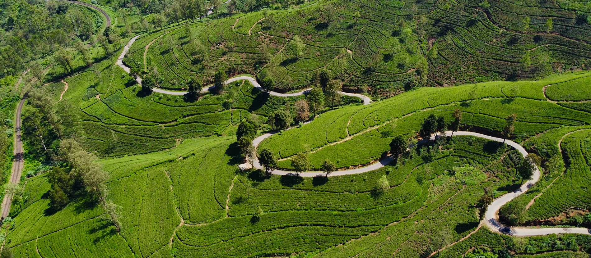 See What's New | National Geographic Expeditions