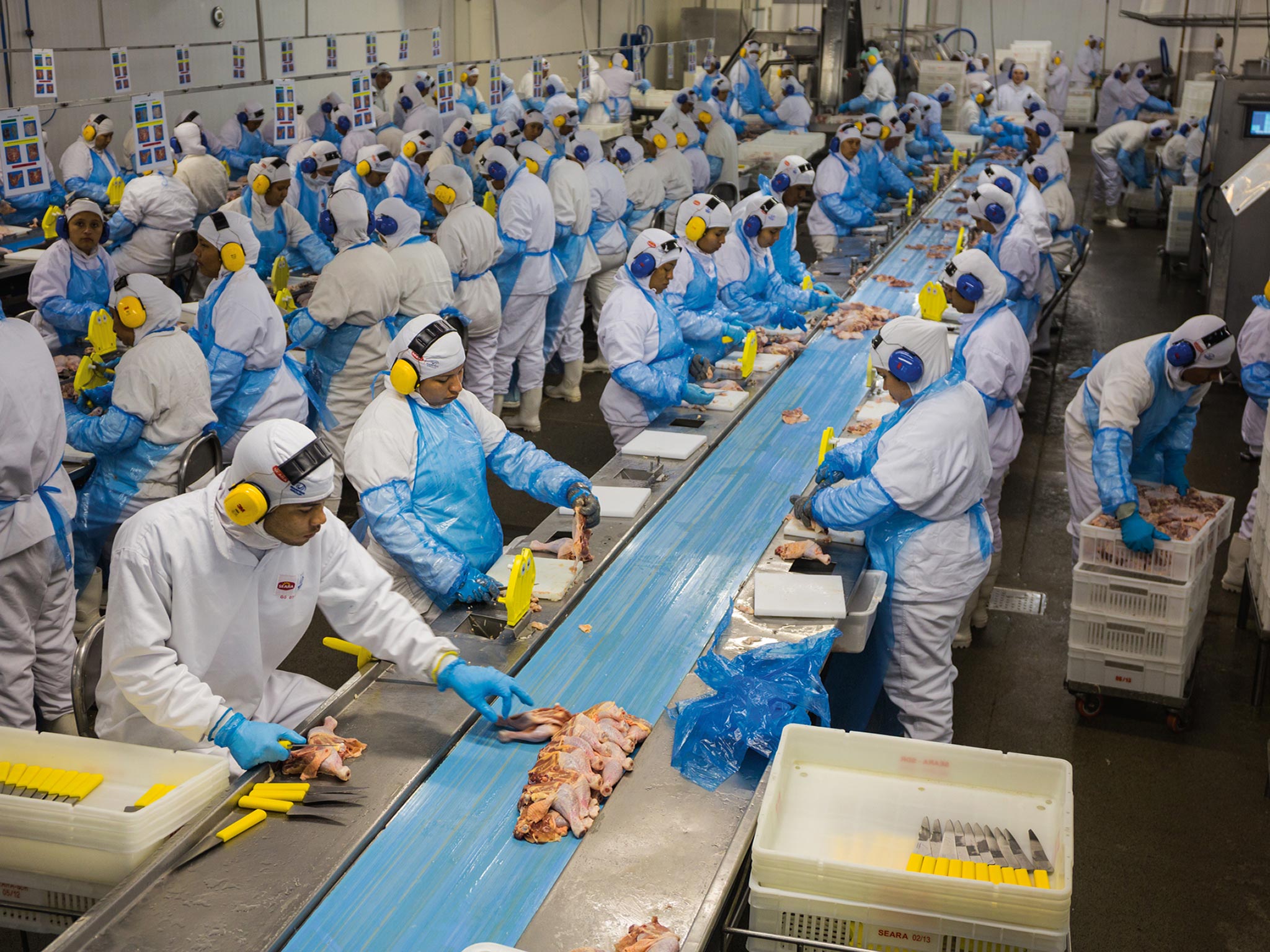 Picture of a chicken parts production line in Brazil