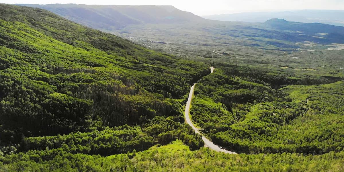 National Geographic General Motors