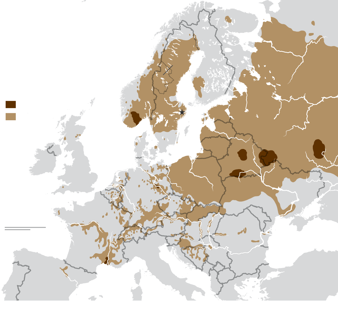 Beavers Returning To Sweden S Capital Can Be A Dam Nuisance