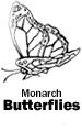 Monarch Butterflies