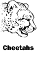 Cheetahs