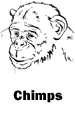 Chimps
