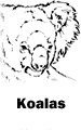 Koalas