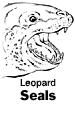 Leopard Seals
