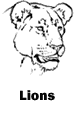 Lions