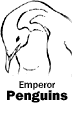 Emperor Penguins