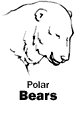 Polar Bears