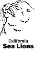 Sea Lions