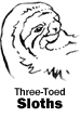 Three-Toed Sloths