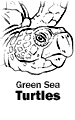 Green Sea Turtles