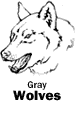 Gray Wolves