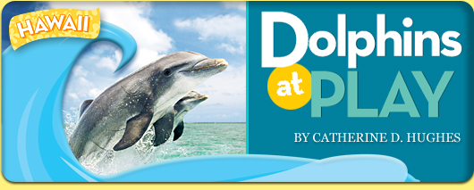 Hawaii. Dolphins at Play, by Catherine D. Hughes