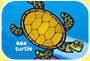 Illustration shows a turtle swimming in some water surrounded by small red fish