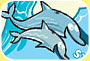 Illustration: dolphins swimming