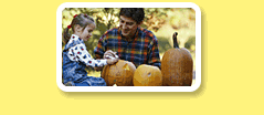 Photo: a child looking at pumpkins