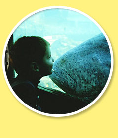 Photo: a kid at the aquarium
