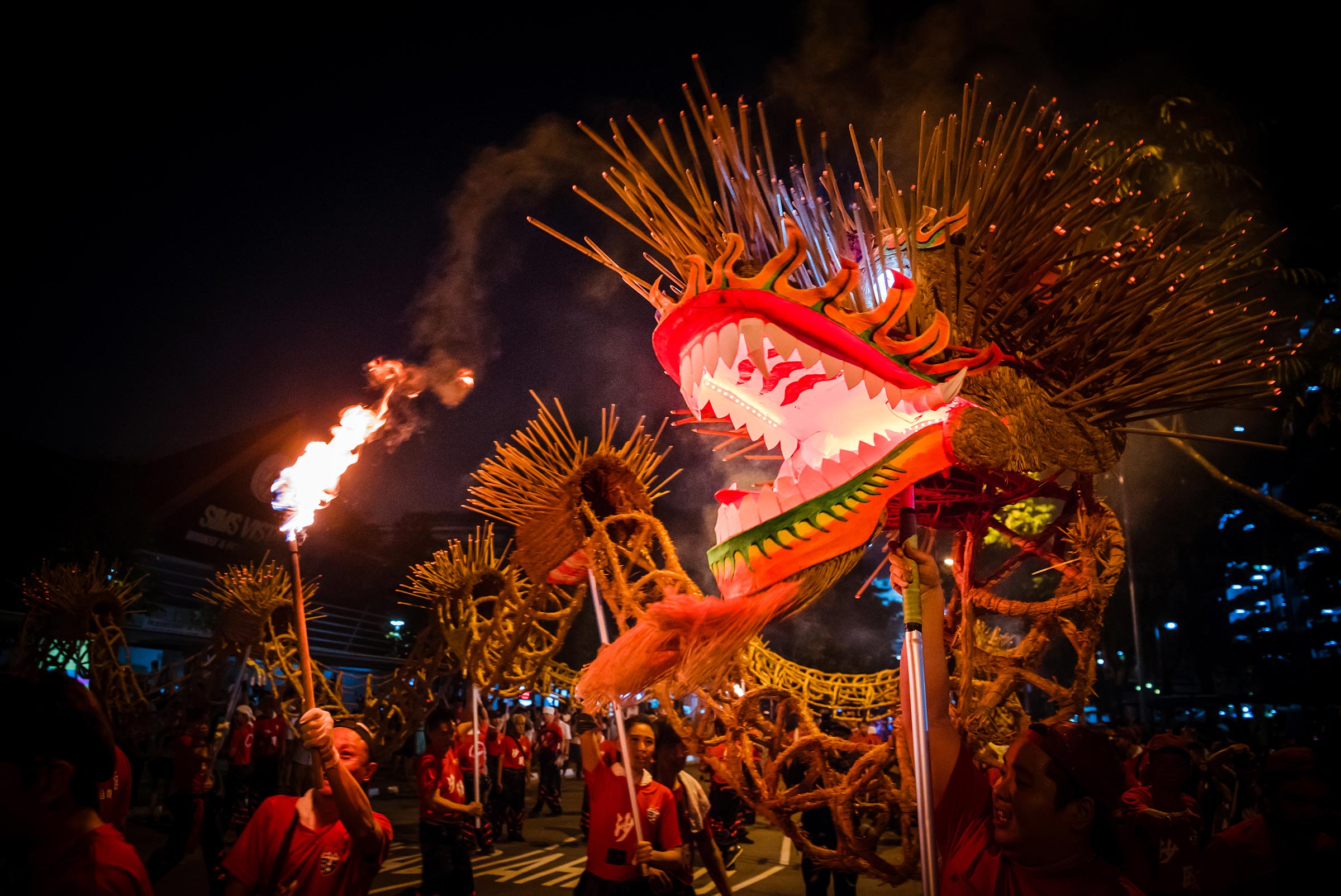 Third Place Winner Photo