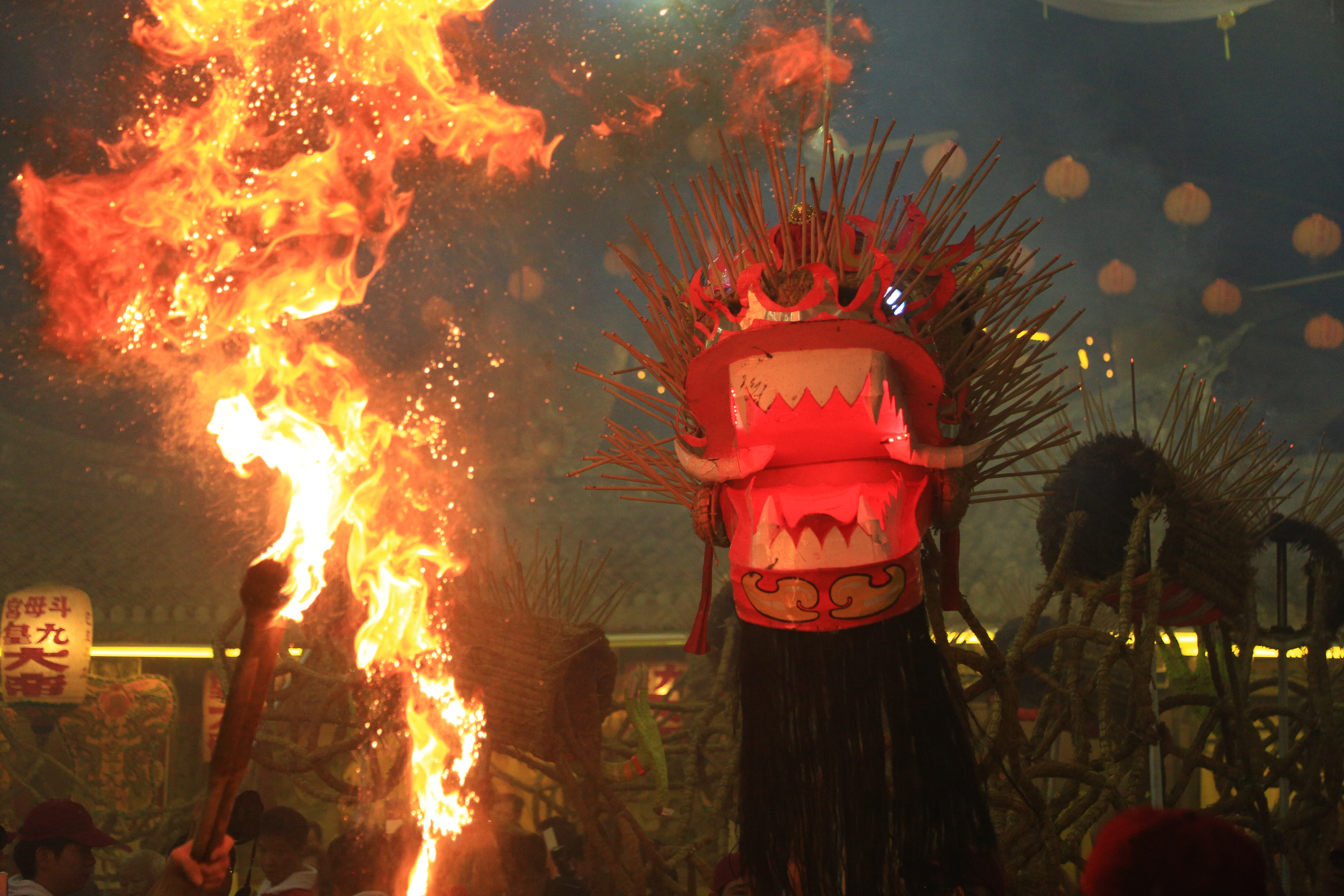 Third Place Winner Photo