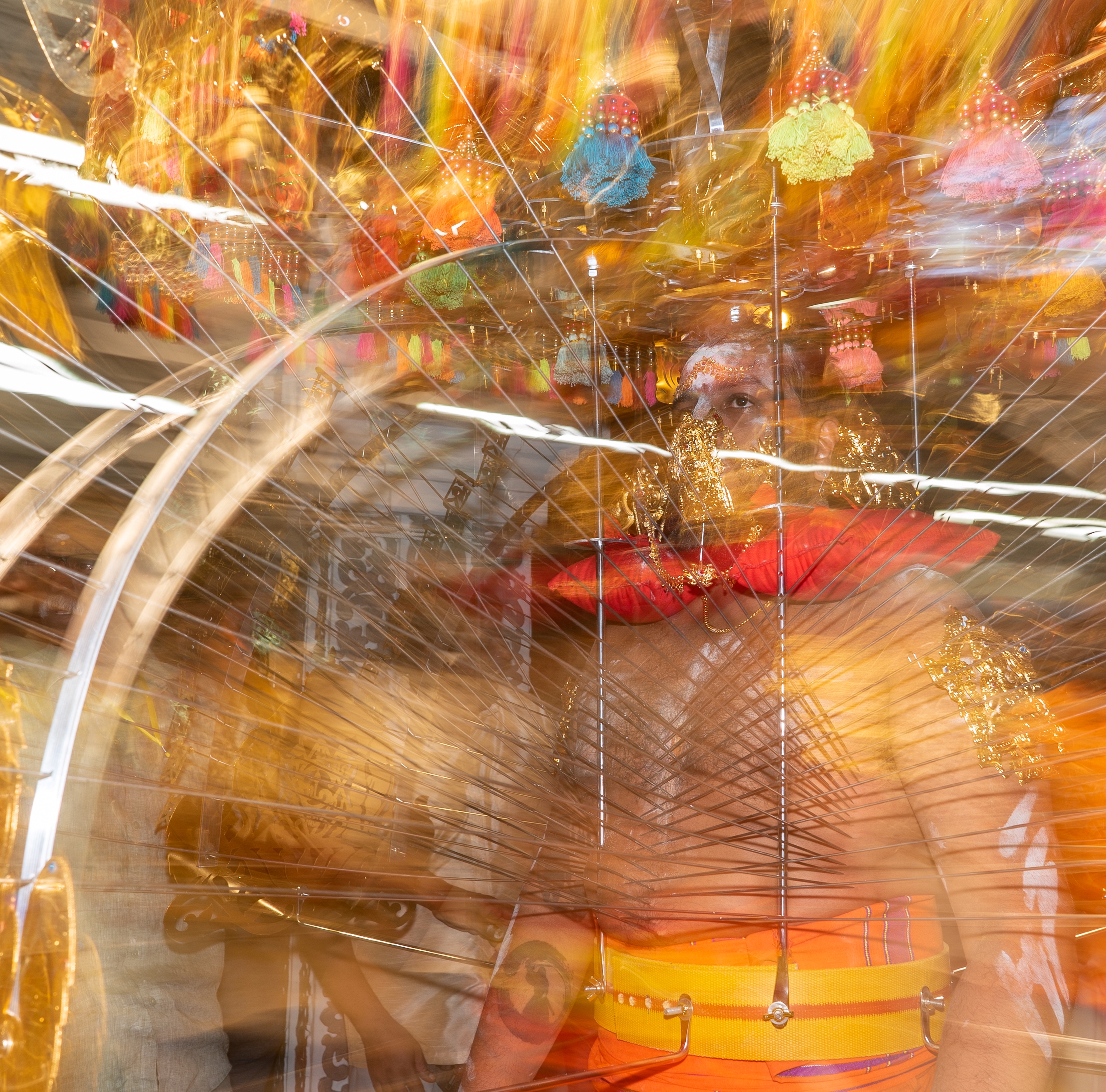 Grand Prize Winner Photo